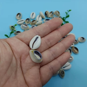 Sieraden Accessoires Top Cut Porceleinslak Conch Zeeschelp Mode Diy Oceaan Kettingen Shell - Product Image 4