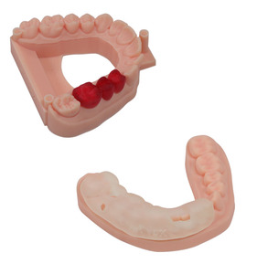 Impresora 3D de Resina Pionext, Gran Oferta, Especial para Odontología, Impresora 3D Dental UV con Luz LCD Fotosensible - Product Image 5