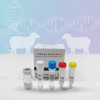 Kit de PCR en temps réel Corynebacterium Pseudotuberculosis (RT-qPCR) lyophilisé, bandelettes de test vétérinaire pour tests/kit GMP sur les chèvres