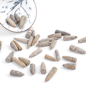 Fossiles de Belemnite Jurassique-Crétacé Authentique Spécimens de Cristal Feng Shui de Haute Préservation pour la Paléontologie - Product Image 5