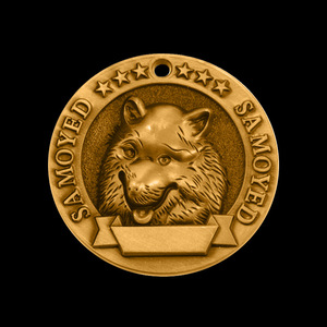 Colgante de latón personalizado para mascotas, collar grabado 3D para mascotas - Product Image 6