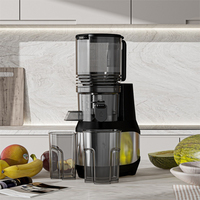 High-end 250W 5,91 inch brede invoeropening koude pers slowjuicer fruitpers commerciële roestvrijstalen slowjuicer