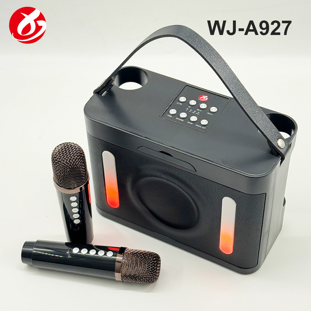 Factory Direct High Power Bluetooth Karaoke Speaker Wireless Karaoke Portable Outdoor Party Speaker with RGB Light