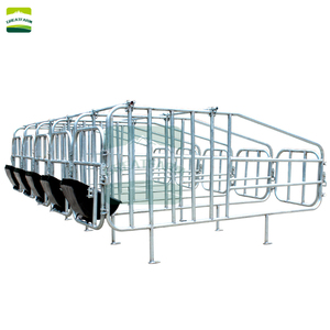 Cama de gestación para cerdas, Jaulas de paridera galvanizadas para cerdos, Corrales, Suelos para cerdos, Equipos para parideras y cerdas en <span class=keywords><strong>venta</strong></span> - Product Image 6