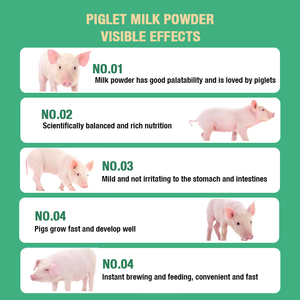 Sustituto de Leche Animal Muyue, Leche de Proteína, Leche de Oveja, Vitamina para Lechones, Suplemento para el Crecimiento de Cerdos, Destete Seguro de Lechones - Product Image 3