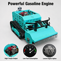 Tondeuse à gazon professionnelle sur chenilles 800 mm, moteur diesel 4 temps, pour bricolage et usage agricole intensif, certifiée CE EPA