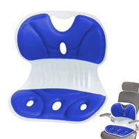 Coussin de Chaise Correcteur de Posture pour Soulagement du Dos, Soutien Lombaire Professionnel pour Chaise de Bureau