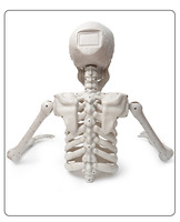 Décoration d'Halloween pour intérieur et extérieur, maison hantée, accessoire de scène effrayant, squelette géant rampant au sol de 1,20 m (4 pieds)