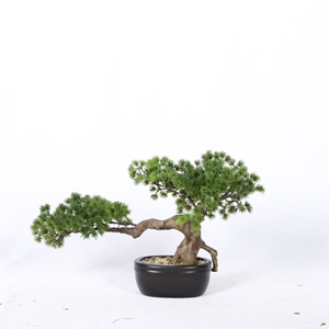 Decoración de escritorio de oficina Diferentes estilos Ornamental Artificial Plne Tree Faux Yew Plum Pine Bonsai con maceta - Product Image 6