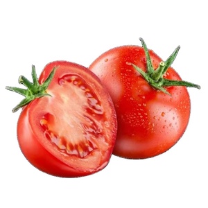 Pomodoro dolce fresco fresco pomodoro cinese nuovo raccolto - Product Image 1