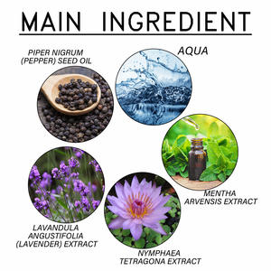 Inhalador de fumar rápido de ayuda de etiqueta privada Inhalador sinusal Aroma Stick con eucalipto Lemongrass y aceites esenciales de menta - Product Image 4