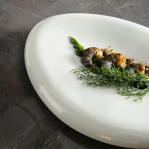 أطباق عشاء بيضاوية فريدة من السيراميك الأبيض البورسلين، للبيع بالجملة بأسعار رخيصة، مخصصة للمطاعم الفاخرة، ضمن عروض التصفية - Product Image 4