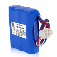 Batterie LiFePO4 3,2 V 6000 mAh 19,2 Wh en tandem avec BMS pour appareils portables/IoT, personnalisable OEM/ODM, durée de vie 3000 cycles