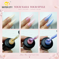 Vernis à ongles gel micro-pailleté 12 couleurs en gros, haute qualité, marque privée, fournisseur d'articles de nail art DIY