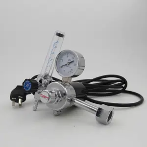 Régulateur de pression de Co2 en laiton à haut débit, Valve de réduction de pression avec chauffage 220v/110v, ender WR1570E