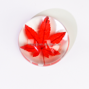 Planta Resina Artesanía Pisapapeles Acrílico Transparente con Planta Espécimen Flor Arte Flores Secas en Resina - Product Image 4