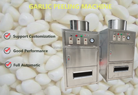 Machine à éplucher l'ail Yumai à grande capacité, petite échelle, entièrement automatique, à usage industriel, à prix abordable