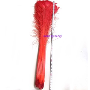 Plumas <span class=keywords><strong>de</strong></span> pavo real naturales <span class=keywords><strong>de</strong></span> 80-90cm blanqueadas y teñidas en colores variados para <span class=keywords><strong>manualidades</strong></span> <span class=keywords><strong>de</strong></span> <span class=keywords><strong>Pascua</strong></span> y Navidad, Carnaval - Product Image 2