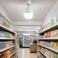 Ampoule LED en forme de T à haut rendement lumineux, économie d'énergie, E27 B22 85-350V, large plage de température de couleur pour l'éclairage domestique