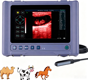 <span class=keywords><strong>Appareil</strong></span> d'échographie vétérinaire portable OEM T1 pour le diagnostic de la gestation du bétail et l'utilisation en élevage - Product Image 1