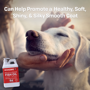 WANZIBEI Olio di Pesce per Cani, <span class=keywords><strong>Salmone</strong></span> Selvaggio dell'Alaska, Omega 3 EPA DHA, Integratore Liquido Senza Additivi, Completamente Naturale, Senza Cereali, Sostenibile - Product Image 2