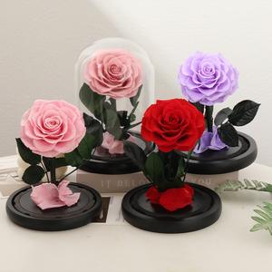 Rosas Eternas Preservadas en Cúpula de Cristal para Regalo de San Valentín/Navidad y Graduación 2026, Venta al Por Mayor - Product Image 1