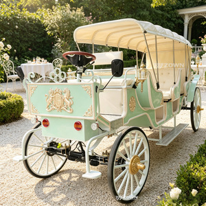 Grande Carrosse de Visite à Chevaux Grande Capacité, Design Rétro Royal pour Complexes Hôteliers, Sites Touristiques et Occasions Festives - Product Image 1