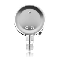 Y60 Digital Stainless Steel High Precision Pressure Gauge With4~6Mpa Range for Gas & Liquid OEM Customizable