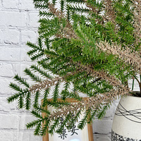 5 Aiguilles de pin artificielles trempées dans du Thasone pour bonsaï en pot, décoration verte d'intérieur