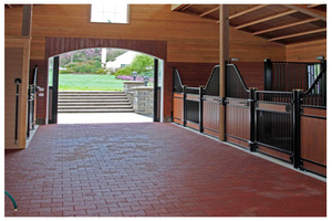 Thân Thiện Với Môi Tái Chế Ngựa Cao Su Gạch Pavers Con Chó Xương Cao Su Ngoài Trời Sàn - Product Image 6