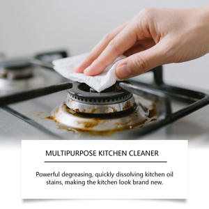 Wholesale 300ml Bestseller Kitchen Grease <b>Cleaner</b> Spray Rich Foam Degreaser - Product Image 3