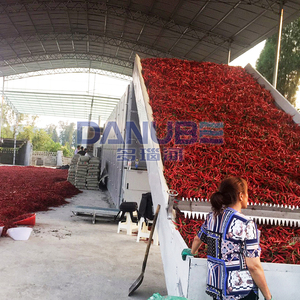 Línea de Procesamiento de Secado de Chiles Totalmente Automática, Máquina Secadora de Banda de Malla, Equipo Deshidratador de Chiles - Product Image 4