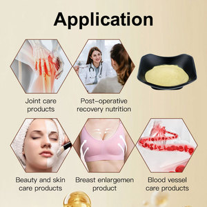 AMULYN Certificat Halal <span class=keywords><strong>Collagène</strong></span> Elastine de Qualité Alimentaire 90% Poudre d'Elastine Peptide d'Elastine Poudre de <span class=keywords><strong>Collagène</strong></span> - Product Image 3