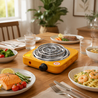 Plaque chauffante électrique portable en acier inoxydable allemand 1000W/2000W, cuisinière à serpentin pour la maison, le dortoir, le camping-car et le camping