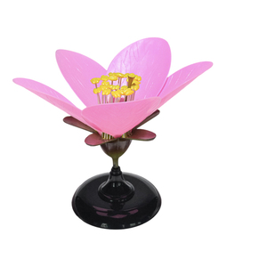 Modelo de Demostración de Disección de Flor de Durazno - Product Image 2