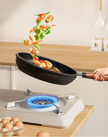 Poêle à frire en céramique antiadhésive en pierre de Maifan, multifonctionnelle, compatible gaz et induction, capacité 3-4L, portable, à fond plat, pour steaks