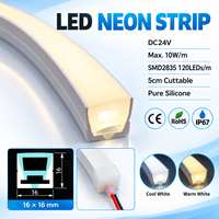 Ruban néon carré de 16 mm, DC24V, IP67, étanche, en silicone, pour la décoration extérieure des bâtiments