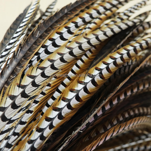 Plumes de queue de faisan collier naturelles longues en gros pour la pêche à la mouche, la fabrication de leurres, la décoration en vrac, les costumes de carnaval. - Product Image 5