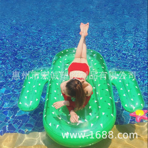 Inflatable Cactus Floating Bed 180X140Cm PVC Adult Swim Float Pool Raft - Product Image 1