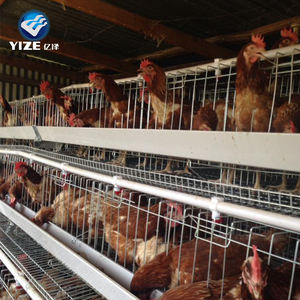 Jaula tipo a para aves <span class=keywords><strong>de</strong></span> corral, jaula para <span class=keywords><strong>pollos</strong></span>, polluelos <span class=keywords><strong>de</strong></span> bebé - Product Image 4