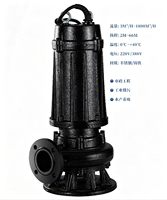 Nouvelles pompes de surpression WQ 50 mm haute capacité 2026 – Pompe centrifuge pour conduites d'eau