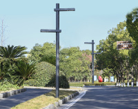 Éclairage LED extérieur pour routes et allées en alliage d'aluminium, résistant aux intempéries IP65, avec commande tactile et à distance, garantie 5 ans