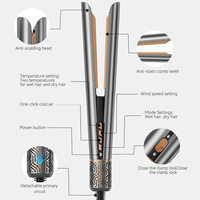 Multi-styler 2-en-1 1400W : Sèche-cheveux et lisseur à air chaud pour cheveux humides et secs
