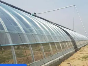 Solar Single Sloped Greenhouse Factory Solar Passive Greenhouse For Tomato Strawberry Flower Hydroponic Winter Quilt Greenhouse