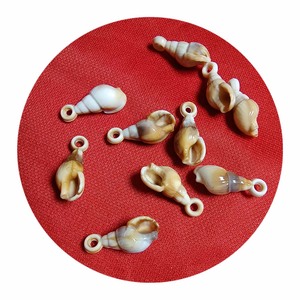 Conchas Espiraladas de Concha Marina al por Mayor, Cuentas y Dijes con Orificios, Material Acrílico - Product Image 5
