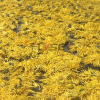 Système de déshydratation de fleurs intelligent à contrôle de température, mode économie d'énergie, déshydrateur de chrysanthèmes hors réseau