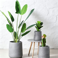 Mini pot en béton mat conique pour bureau, décoration de cactus et de succulentes, logo personnalisé, vente en gros