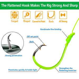 <strong>Bass</strong> &amp; Saltwater Fish Rigs Float Rigs Tackle Santee Rig 6/0 7/0 Single Hook Carbon Steel Lake Fishing - Product Image 4