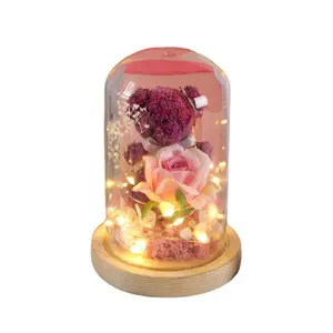 Großhandel getrocknete ewige authentische Moos Teddybär Umarmen konservierte Rose in Glaskuppel Muttertag Geschenk