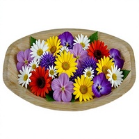 Plateau de service ovale en feuille de palmier de 12 pouces, robuste, jetable, biodégradable, écologique, pour mariage, camping, nourriture